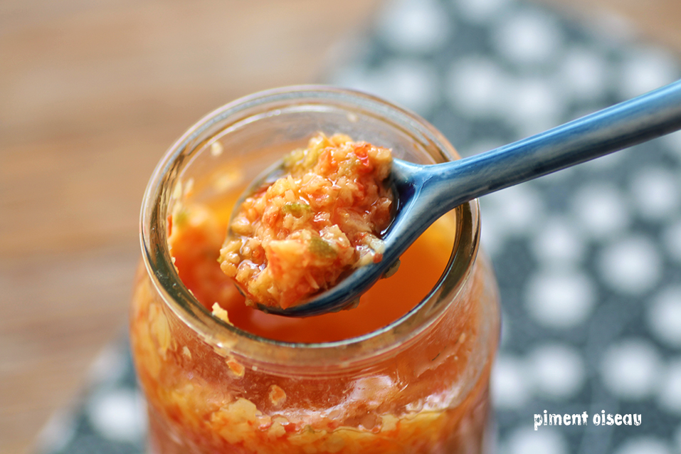 Journée de la cuisine pimentée : recette de sauce pimentée